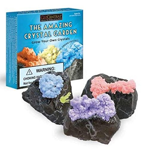 Amazing Crystal Garden Kit