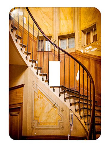 3dRose lsp_187352_1" Old Staircase in Passage Vivienne, Paris, France Single Toggle Switch
