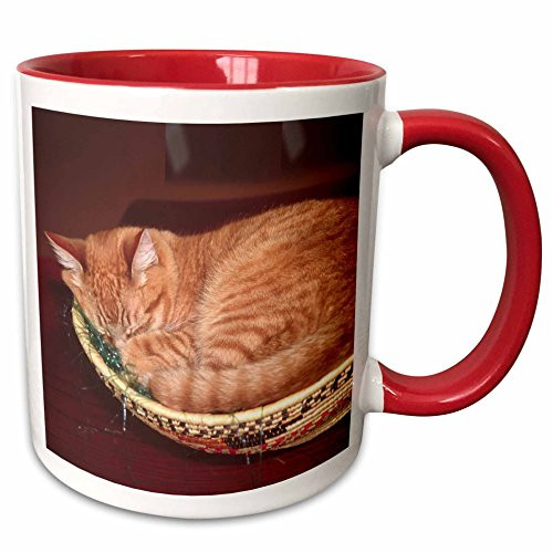 3dRose Orange Tabby Cat Asleep In An Easter Basket-Na02 Csl0214-Charles Sleicher Ceramic Mug, 11 oz, Red/White