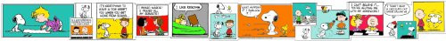Eureka Peanuts Comic Bulletin Board Trim and Classroom Decoration for Teachers, 12pc, 2.25'' W x 37'' L