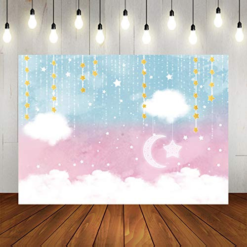 Twinkle Twinkle Little Star Gender Reveal Backdrop Pink or Blue Baby Shower Photography Background 7x5ft Glitter Star Moon Clouds Boy or Girl Newborn Baby Birthday Party Decorations Photo Booth Props