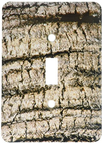 3dRose lsp_185174_1"Palm Tree Bark Close Up Single Toggle Switch