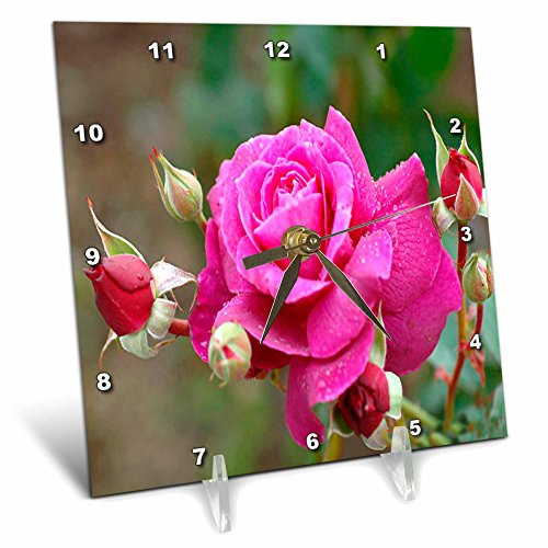 3dRose LLC Pink Rose 6 by 6-Inch Desk Clock 3dRose LLC Pink Rose 6 by 6-Inch Desk Clock
