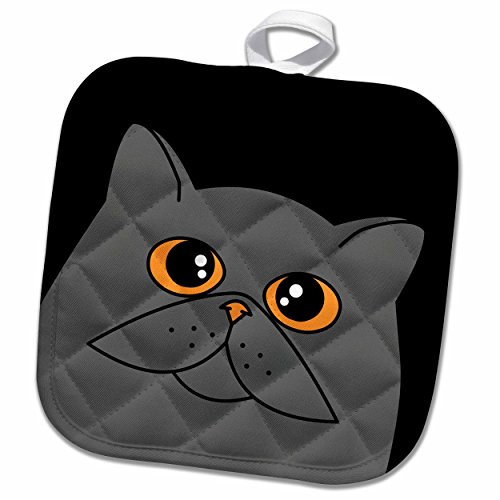 3D Rose The Curious Cat Himalayan Eyes Pot Holder, 8" x 8", Blue, Pink