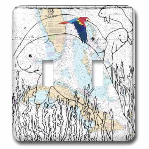 3dRose lsp_204869_2 Print of Coast Of Florida Chart With Ghost Manatees Double Toggle Switch