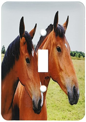 3dRose lsp_203727_1 Print Of Pair Of Horses Painting Single Toggle Switch