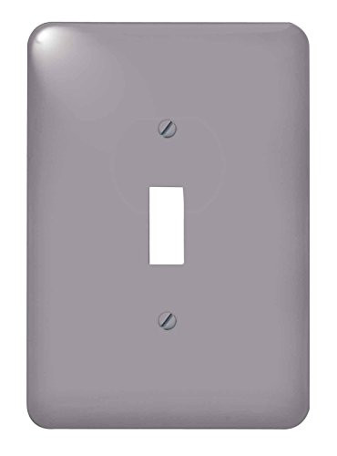 3dRose lsp_204792_1"Print Of Sterling Gray Single Toggle Switch, Multicolor