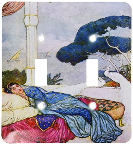 3dRose lsp_212908_2 Print of Vintage Lady From India With Peacocks Double Toggle Switch