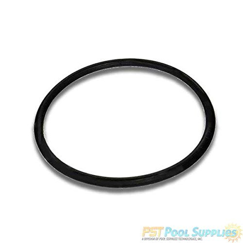 Zodiac R0558701 Diffuser O-Ring Replacement for Select Zodiac Jandy JHP/PHP Series Pool and Spa Pumps
