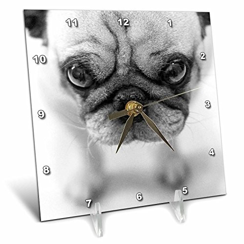 3dRose LLC Pug 6 by 6-Inch Desk Clock