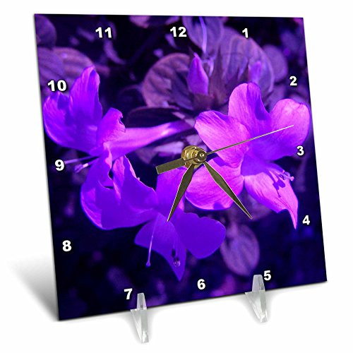 3dRose dc_7498_1 Desk Clock, Purple Pop, 6 by 6-Inch