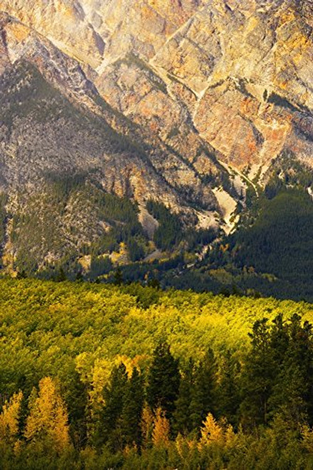 Posterazzi Pyramid Mountain And Fall Colours Jasper National Park Alberta Poster Print, (11 x 17)