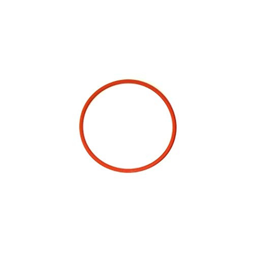 Rancilio Silvia Boiler Gasket