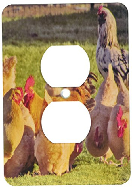 3dRose lsp_195204_6 Red Hens and roosters 2 Plug Outlet Cover, Multicolor 3dRose lsp_195204_6 Red Hens and roosters 2 Plug Outlet Cover, Multicolor