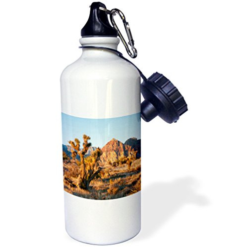 3dRose wb_145053_1"Red Rock Canyon outside Las Vegas, Nevada, USA-US29 MDE0015-Michael DeFreitas" Sports Water Bottle, 21 oz, White