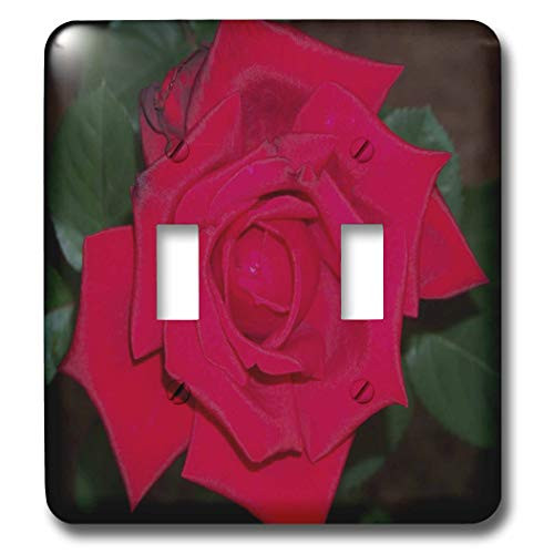 3dRose lsp_14153_2 Red Rose Green Background Double Toggle Switch