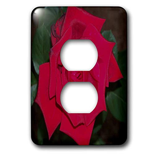 3dRose lsp_14153_6 Red Rose Green Background 2 Plug Outlet Cover