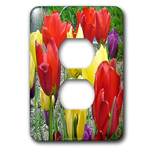 3dRose lsp_5985_6 Red, Yellow and Purple Tulips 2 Plug Outlet Cover, Multicolor