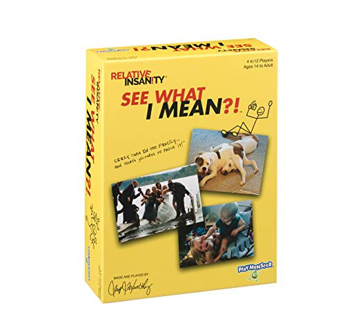 PlayMonster Relative Insanity: See What I Mean?! - Party Game with Funny Photos You Caption with Jeff Foxworthy Humor!