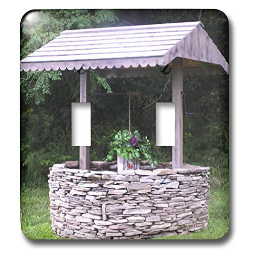 3dRose LLC lsp_19165_2 Rock Well Double Toggle Switch