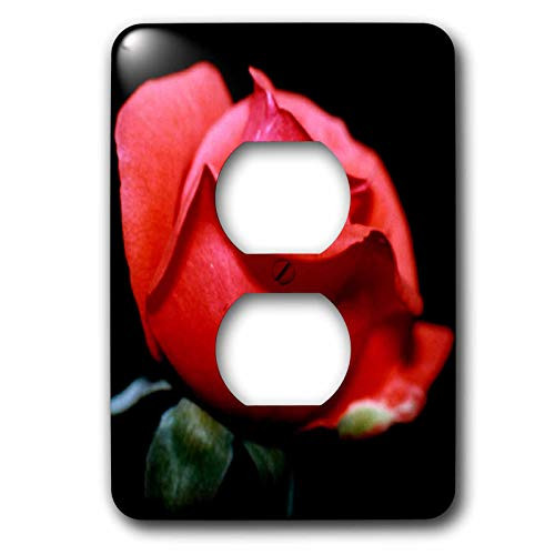 3dRose lsp_21328_6 Rosebud Red 2-Plug Outlet Cover
