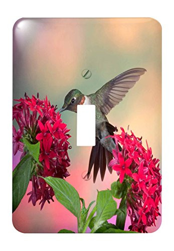 3dRose lsp_210268_1"Ruby throated Hummingbird on Red Penta's Marion, Illinois, USA Single Toggle Switch, Multicolor