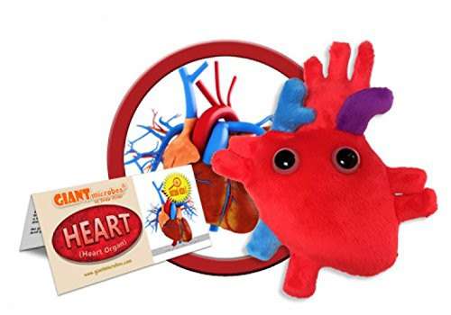GIANTmicrobes - Heart (Heart Organ)