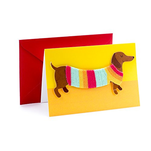 Hallmark Signature Birthday Card with Removable Dachshund Magnet (Dog in Sweater) Hallmark Signature Birthday Card with Removable Dachshund Magnet (Dog in Sweater)