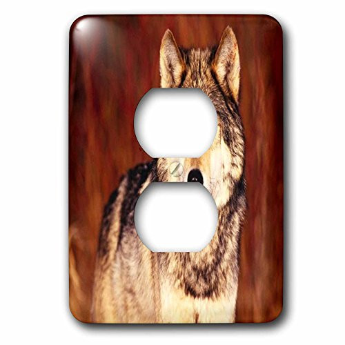 3dRose lsp_80301_6"Serious Pose Of Brown Wolf Plug Outlet Cover