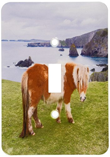 3dRose lsp_188900_1 Toggle Switch