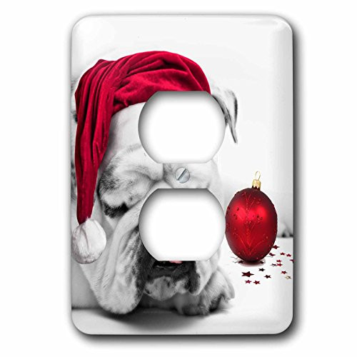 3dRose lsp_62826_6 Sleeping Bulldog In A Santa Hat Christmas Card Photo Courtesy of Esther Matheus 2 Plug Outlet Cover
