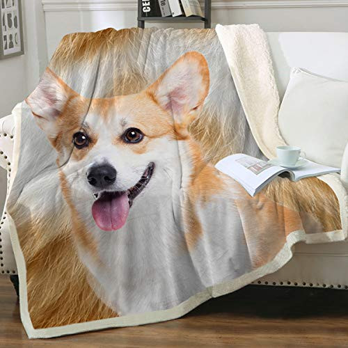 Sleepwish Corgi Blanket Throw Puppy Dog Fleece Blanket Dog Blankets for Boys Girl Fuzzy Soft Blanket Warm Cozy Cute Animals Bed Blanket (50" X 60") Sleepwish Corgi Blanket Throw Puppy Dog Fleece Blanket Dog Blankets for Boys Girl Fuzzy Soft Blanket Warm Cozy Cute Animals Bed Blanket (50" X 60")