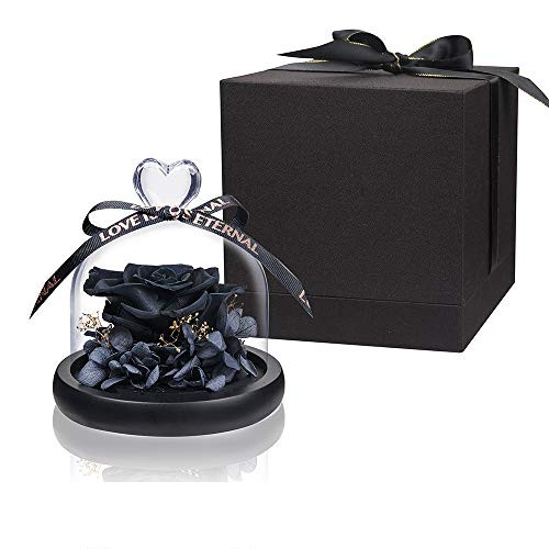 Black Roses Handmade Preserved Rose Real Rose, Eternal Flower Never Withered Romantic Gifts for Female, Valentine's Day, Mother's Day, Christmas, Thanksgiving Day, Anniversary Black Roses Handmade Preserved Rose Real Rose, Eternal Flower Never Withered Romantic Gifts for Female, Valentine's Day, Mother's Day, Christmas, Thanksgiving Day, Anniversary