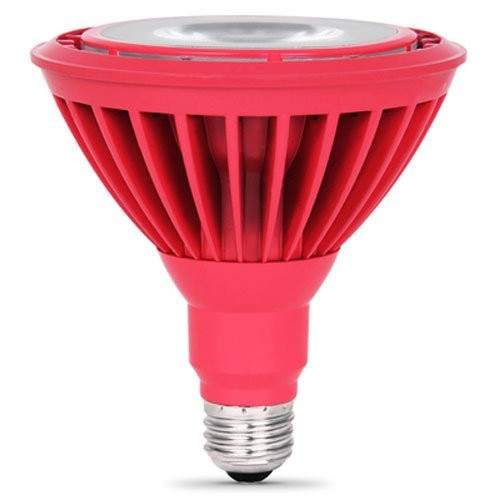 Feit PAR38/R/LEDG5 LED Red PAR38 Reflector Feit PAR38/R/LEDG5 LED Red PAR38 Reflector
