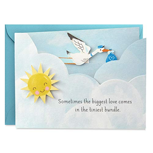 Hallmark Paper Wonder Paper Craft Baby Shower Card for Baby Boy (Stork) - 499RZW1027 Hallmark Paper Wonder Paper Craft Baby Shower Card for Baby Boy (Stork) - 499RZW1027