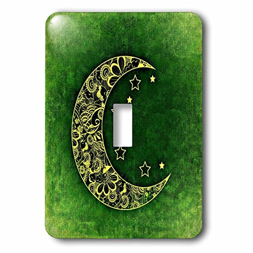 3dRose LSP_236771_1 Moon with Green Background Single Toggle Switch