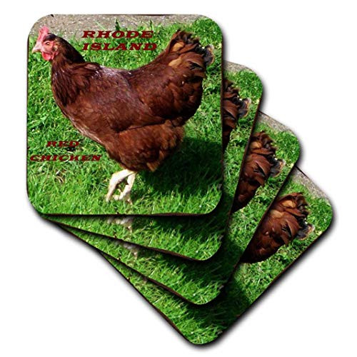 3dRose cst_50942_3 State Bird of Rhode Island Red Chicken-Ceramic Tile Coasters, Set of 4