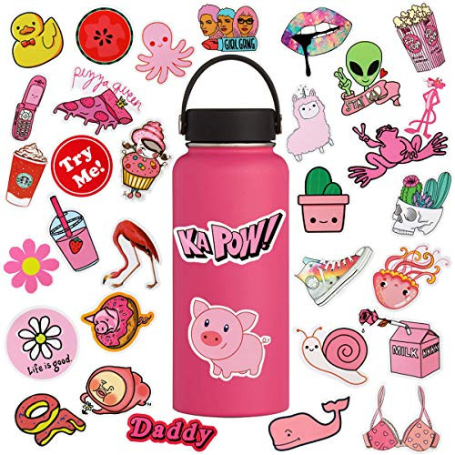 VSCO Laptop Stickers for Hydro Flask, Pink Vinyl Waterproof Water Bottle Stickers for Hydroflasks, Camera, Phone, Cute Trendy Aesthetic Stickers for Teens, Girls, VSCO Girl Stuff