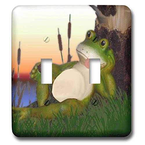 3dRose lsp_28288_2 The Frog and the Snail Toggle Switch, Multicolor