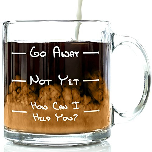 Go Away Funny Glass Coffee Mug 13 oz - Unique Father's Day Gift For Men & Women, Him or Her - Best Office Cup & Birthday Present Idea For Mom, Dad, Husband, Wife, Boyfriend, Girlfriend or Coworkers
