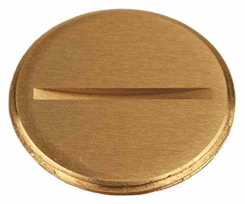Abandon Plug, 1-1/2 in. Flush Slotted Plug, Fits RACO Covers 6284, 6288