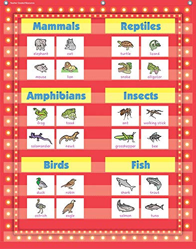 Teacher Created Resources Red Marquee 10 Pocket Chart (34" x 44")