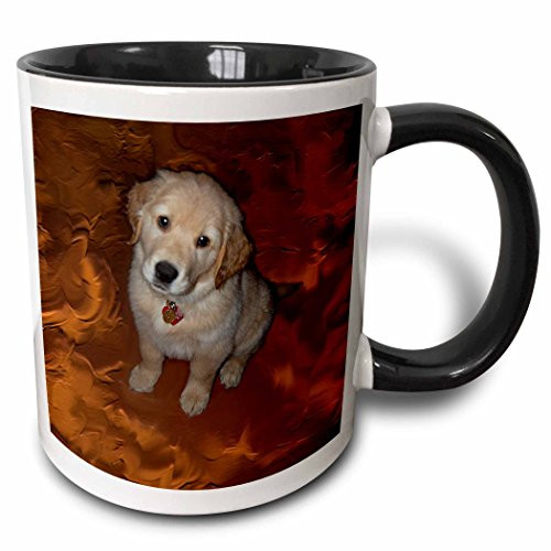 3dRose Golden Retriver Puppy Two Tone Black Mug, 11 oz, Black/White