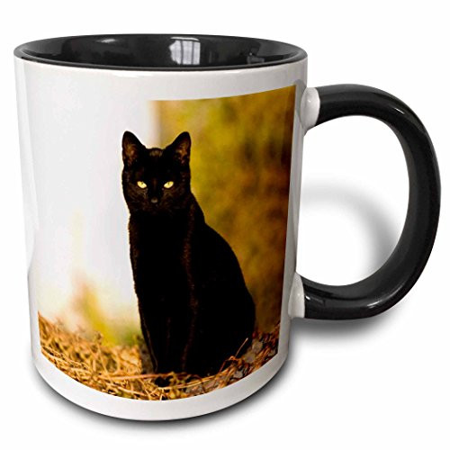 3dRose mug_3163_4"black Cat Two Tone black" Mug, 11 oz, Black/White