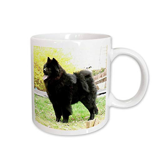 3dRose Black Chow Mug, 11-Ounce