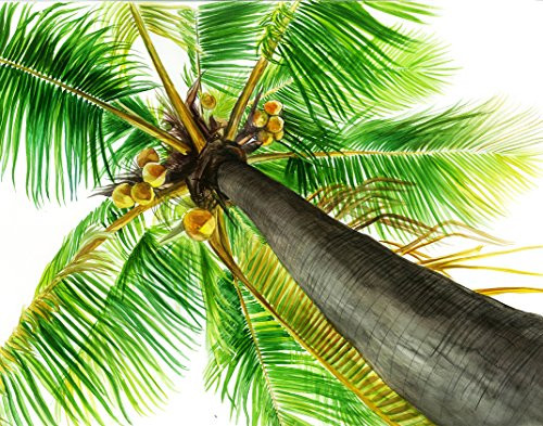 AtoZStudio A7 Palm Tree Poster - Beach Home Wall Art Decor - Leaf Green Trees - Spring Summer Watercolor Artwork (11x14)