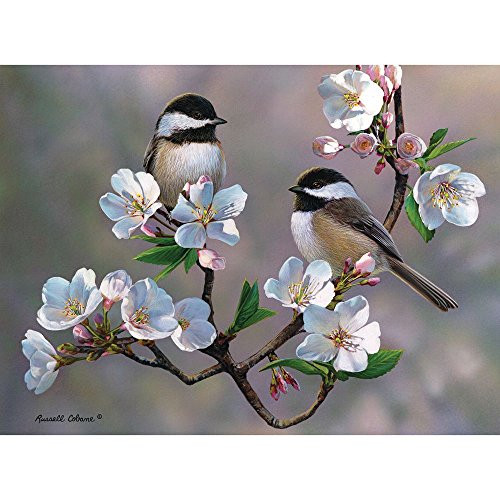 Bits and Pieces - 1000 Piece Jigsaw Puzzle for Adults - Cherry Blossom Chickadees - 1000 pc Spring Birds Jigsaw by Artist Russell Cobane Bits and Pieces - 1000 Piece Jigsaw Puzzle for Adults - Cherry Blossom Chickadees - 1000 pc Spring Birds Jigsaw by Artist Russell Cobane