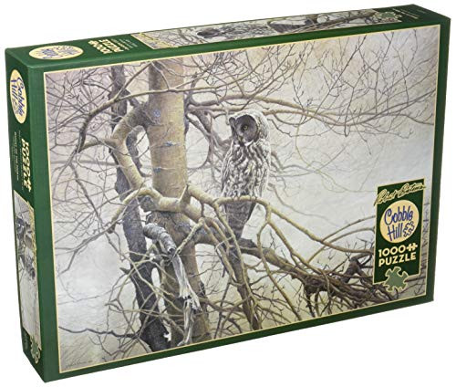 Cobblehill 80037 1000 pc Ghost of The North Puzzle, Various