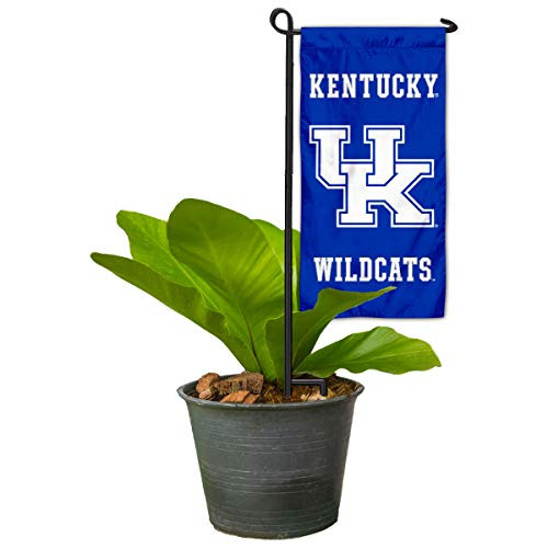 College Flags & Banners Co. Kentucky Wildcats Mini Garden and Flower Pot Flag Topper College Flags & Banners Co. Kentucky Wildcats Mini Garden and Flower Pot Flag Topper