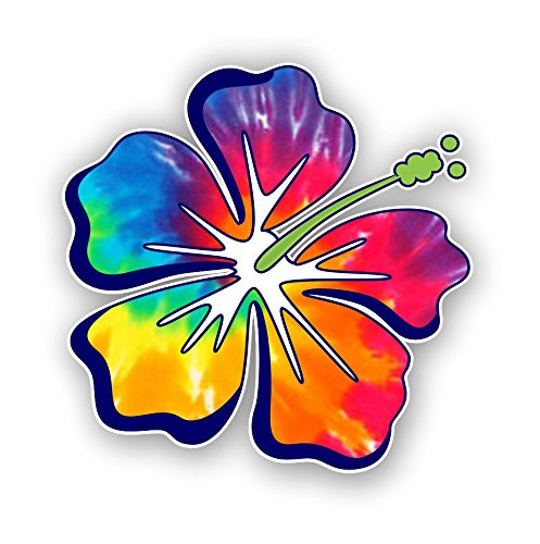 Hibiscus Flower Hawaiian Car Truck Window Laptop Vinyl Decal Sticker (Rainbow Tie Dye)
